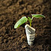 “How Economic Growth Becomes Visible”