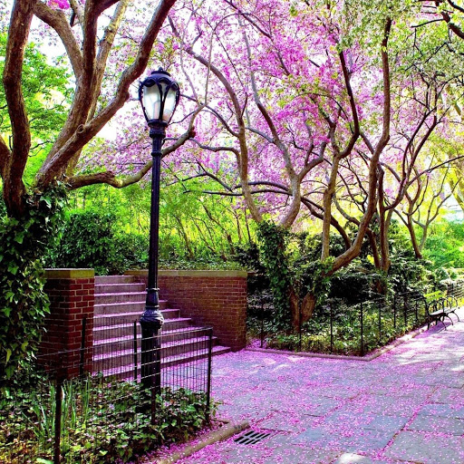 Hd-161814-ascw161814