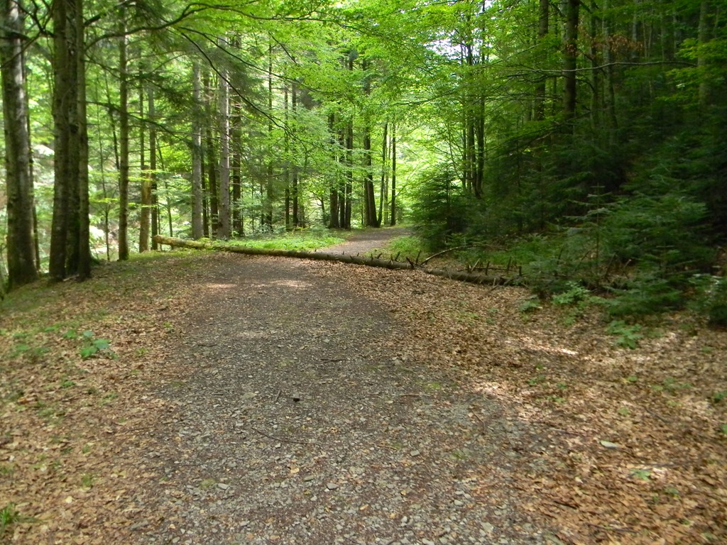 [DSCN41033.jpg]