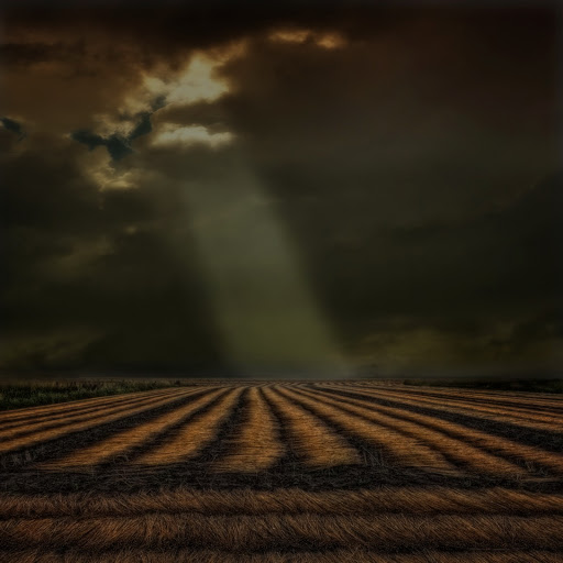 Hd-131093-ascw131093