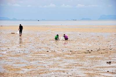 DSC_0901.JPG