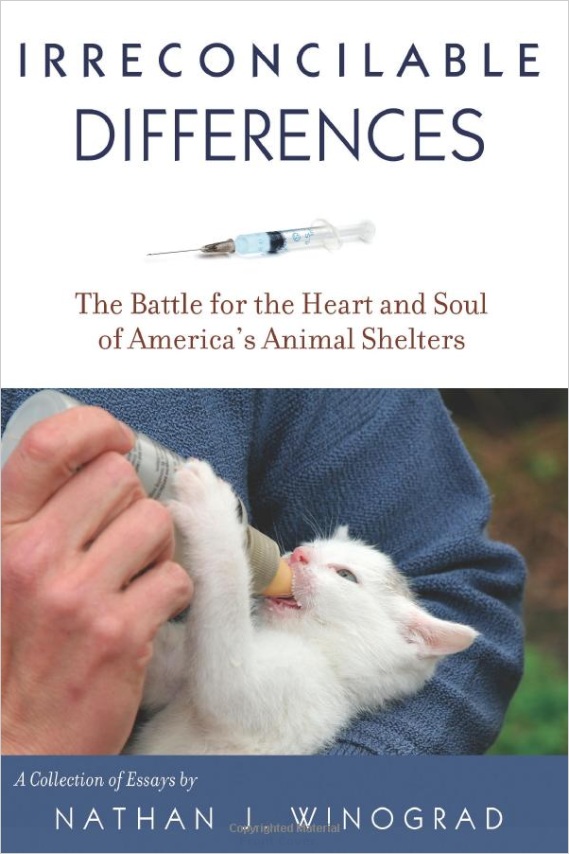 Irreconcilable Differences Irreconcilable Differences