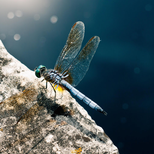 Hd-180139-ascw180139