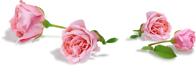 0_5a2fd_fc1c25dc_XXL%25255B1%25255D.png