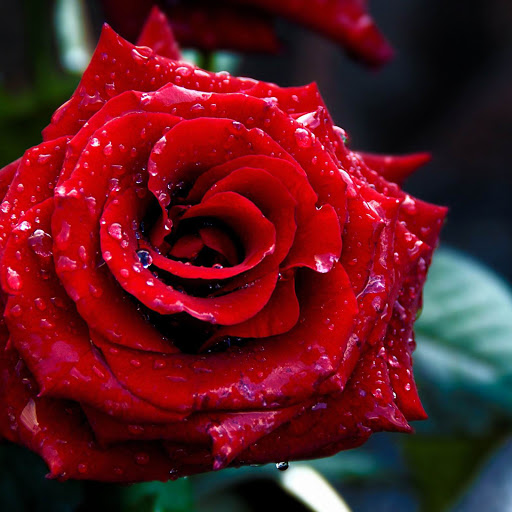 Hd-163076-ascw163076