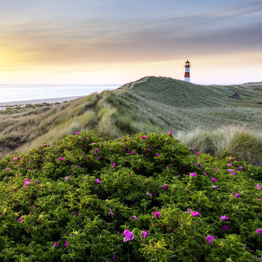 Hd-148363-ascw148363