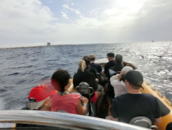 2012-10-20 Mallorca by BREITENGRAD53 - 151