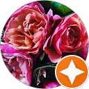Image Google de Christine Thibault