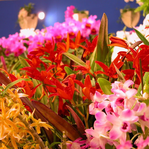 Hd-143971-ascw143971