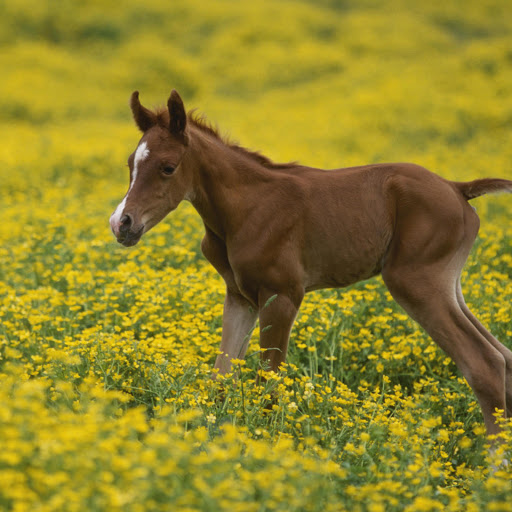 Hd-173497-ascw173497