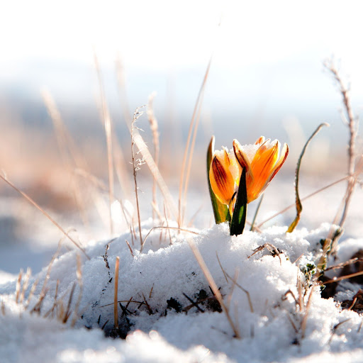 Hd-173187-ascw173187