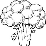 verduras-11.jpg