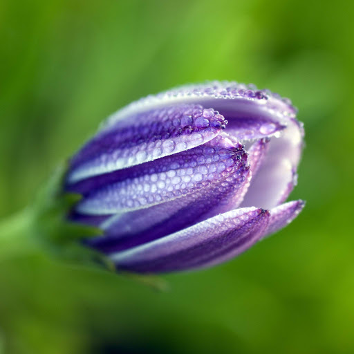 Hd-174650-ascw174650