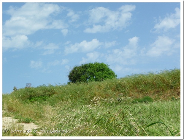 Dwejra, Nadur &  Mdina (10)