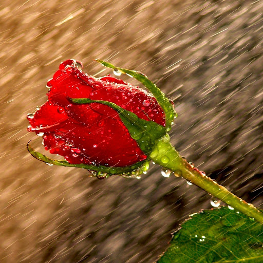 Hd-177243-ascw177243