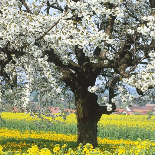 Hd-143990-ascw143990