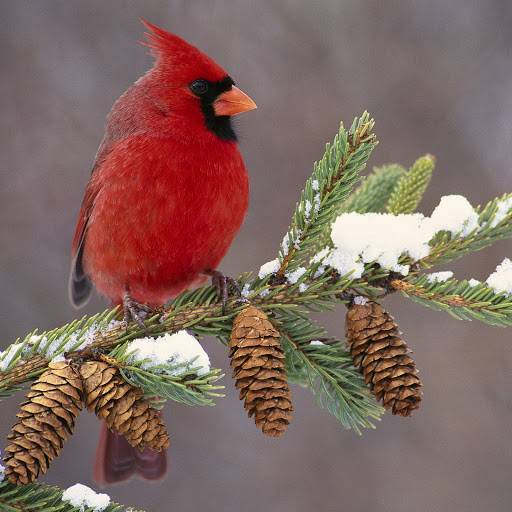 Hd-146023-ascw146023