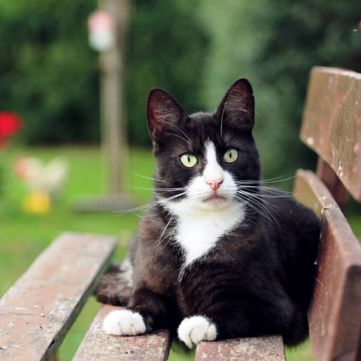 Hd-142095-ascw142095