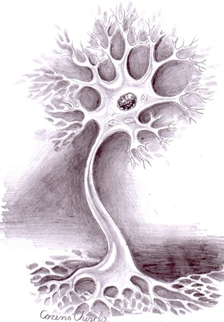 Arborele neuronal Neuron desent in creion - Neuron pencil drawing