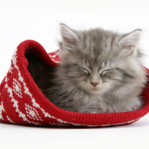 Hd-147156-ascw147156