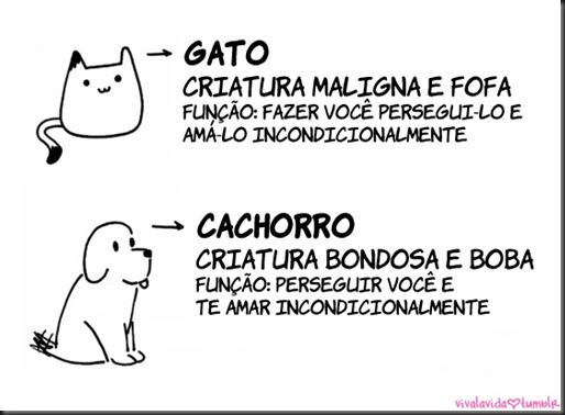 gato_cachorro