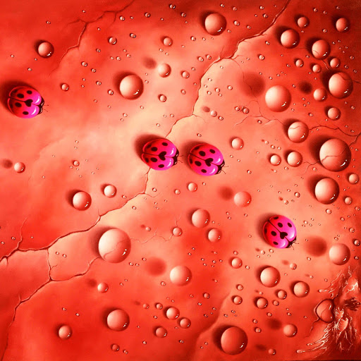 Hd-131695-ascw131695