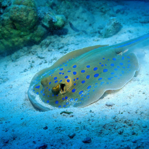 Hd-148054-ascw148054