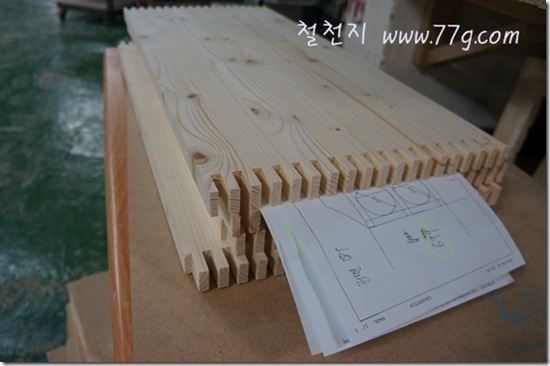 철천지DSC03699-20120620-164102