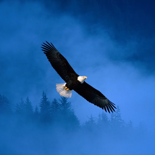 Hd-174056-ascw174056