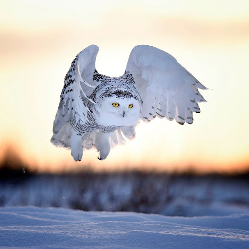 Hd-156053-ascw156053