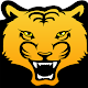 TigerTalk Radio Player APK