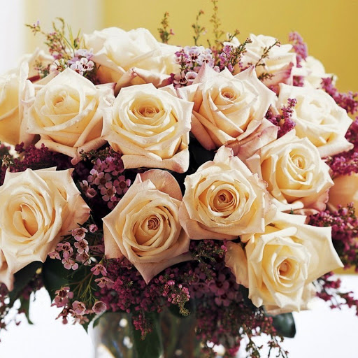 Hd-171079-ascw171079