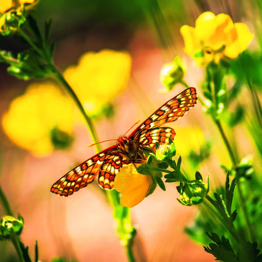 Hd-147569-ascw147569