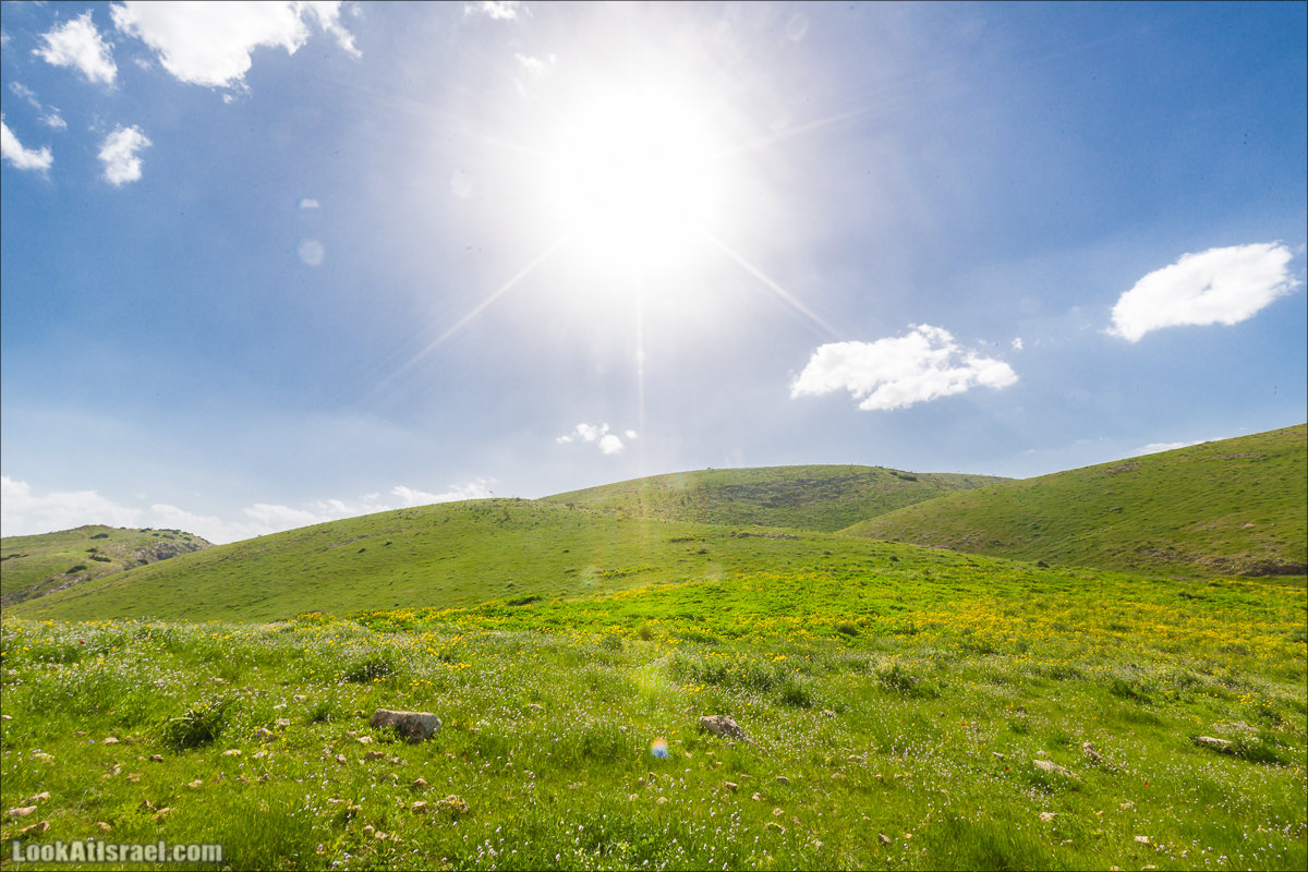 LookAtIsrael.com - Ручей (нахаль) Талкид | Nahal Talkid | נחל תלקיד