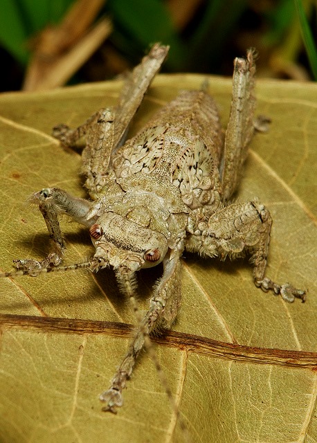 [6389708957_1abf810aef_z%255B5%255D.jpg]