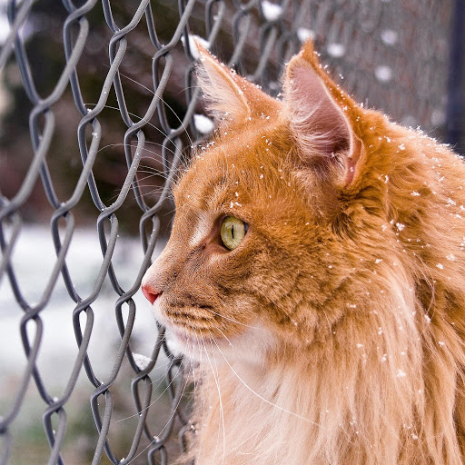 Hd-183405-ascw183405