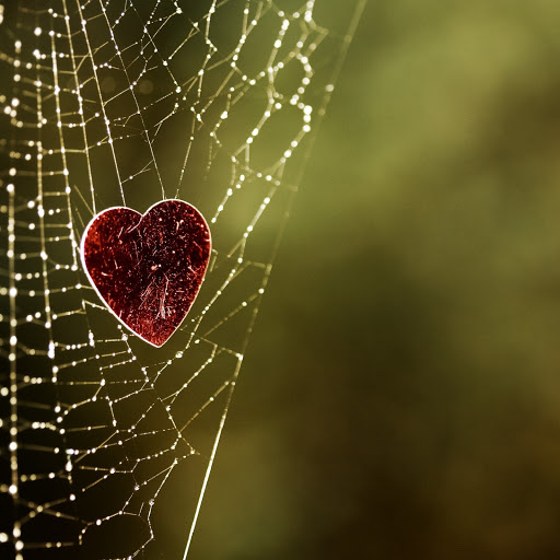 Hd-178899-ascw178899