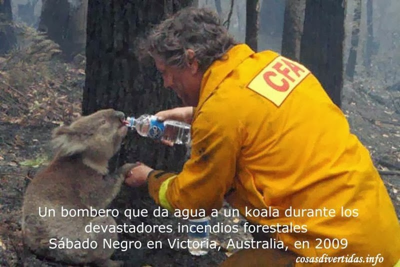 [bombero%25202%25201%255B3%255D.jpg]