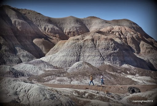 Blue Mesa Trail