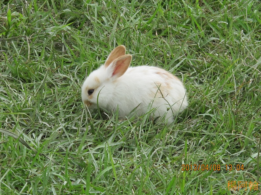 [2013----1195.jpg]