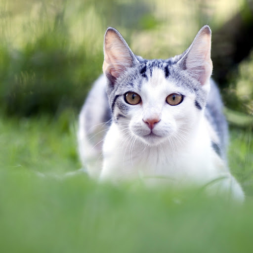 Hd-166088-ascw166088