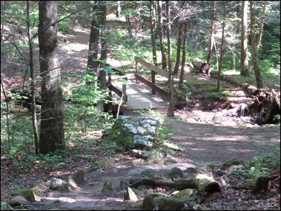 Bear Hair Gap Trail at Vogel State Park, Blairsville, GA
