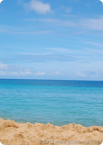 print waimea beach 5x7 print waimea beach 5x7