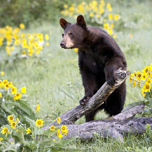 Hd-132939-ascw132939