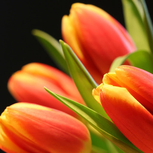 Hd-146553-ascw146553