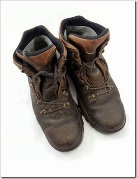 Hiking Boots (Medium)