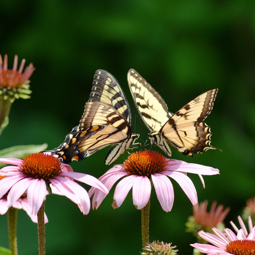 Hd-148326-ascw148326