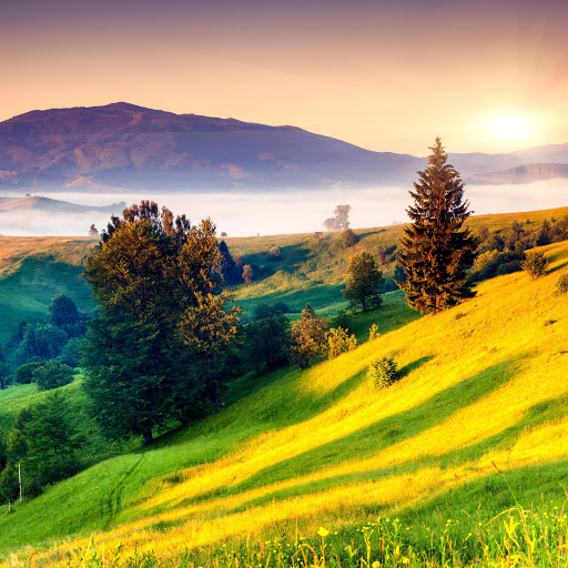 Hd-165617-ascw165617