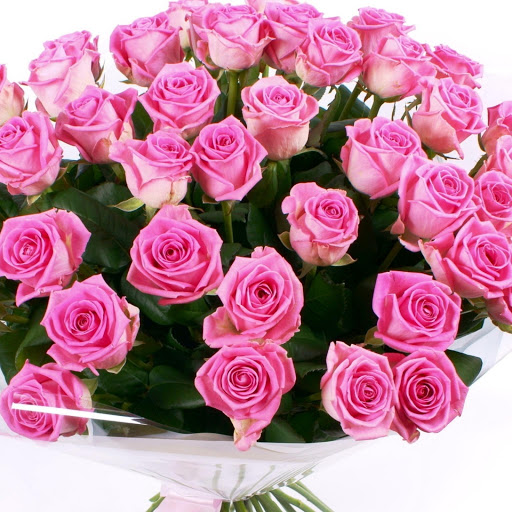 Hd-146310-ascw146310