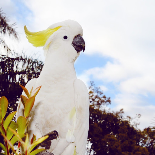 Hd-143713-ascw143713